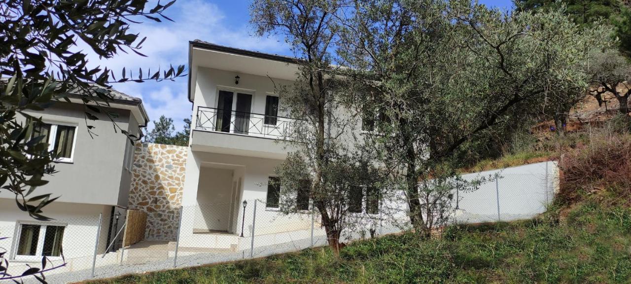 Evergreen Thassos Skala Potamia  Exteriör bild